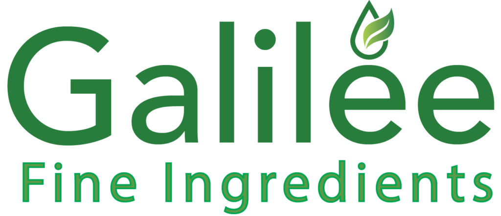 Galilee Logo_V5