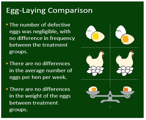 egg laying comparison